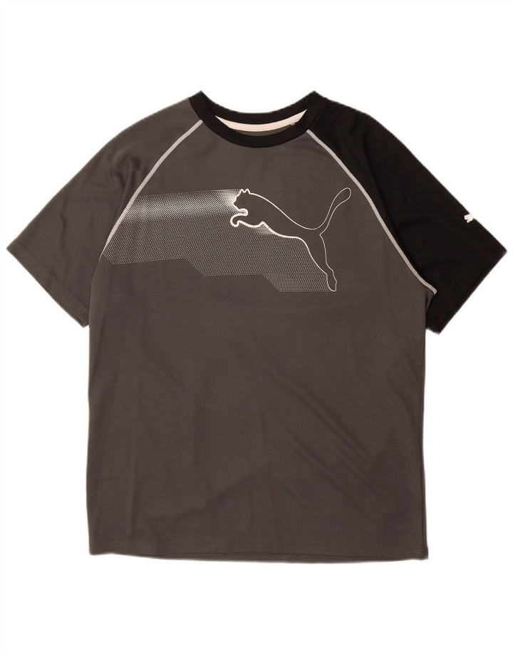 PUMA Herre grafisk T-shirt Top mellemgrå Colourblock Polyester