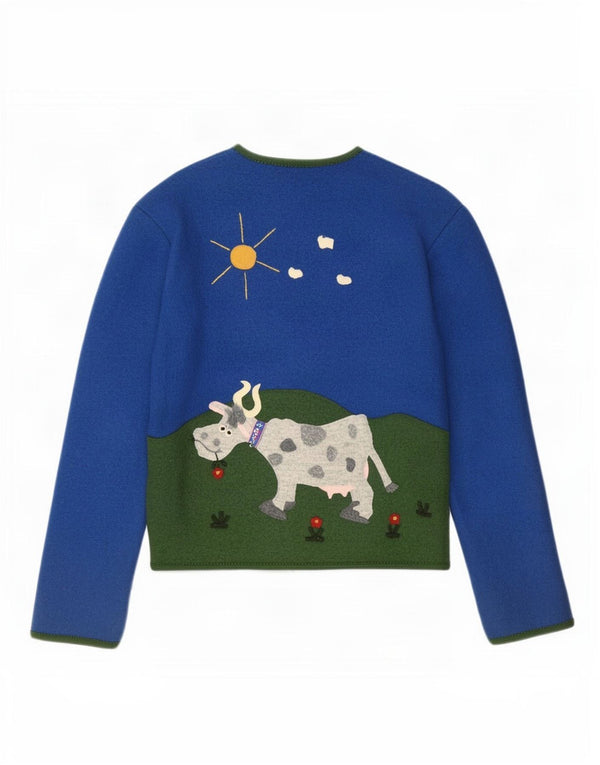 Giesswein Dame Cardigan Sweater UK 10 Small Blue Colourblock Novelty