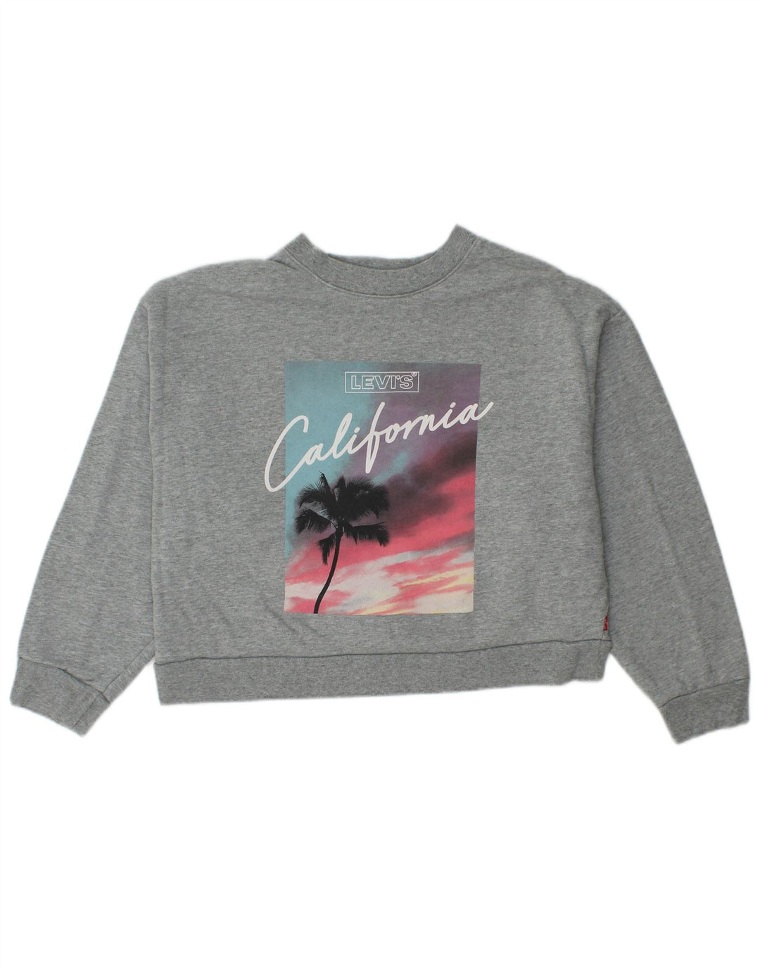 Levi's Womens Oversized Crop Graphic Sweatshirt Jumper UK 10 Small Grå