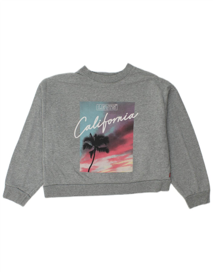 Levi's Womens Oversized Crop Graphic Sweatshirt Jumper UK 10 Small Grå
