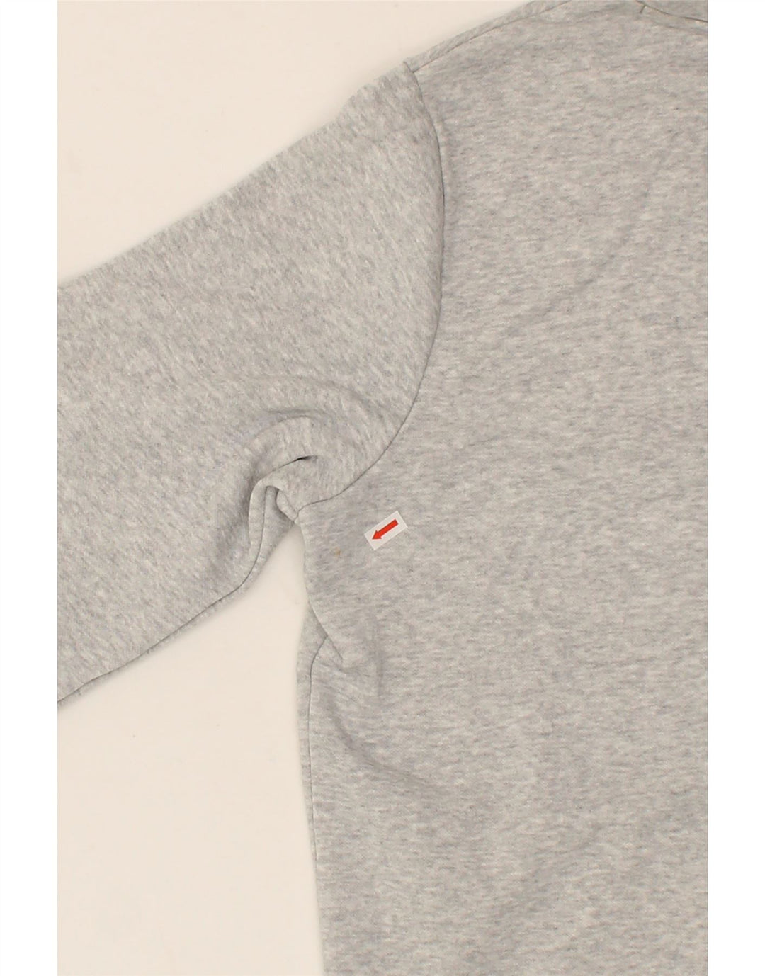 PUMA Womens Graphic Hoodie Jumper UK 14 Medium Grey Cotton Vintage Puma and Second-Hand Puma from Messina Hembry 