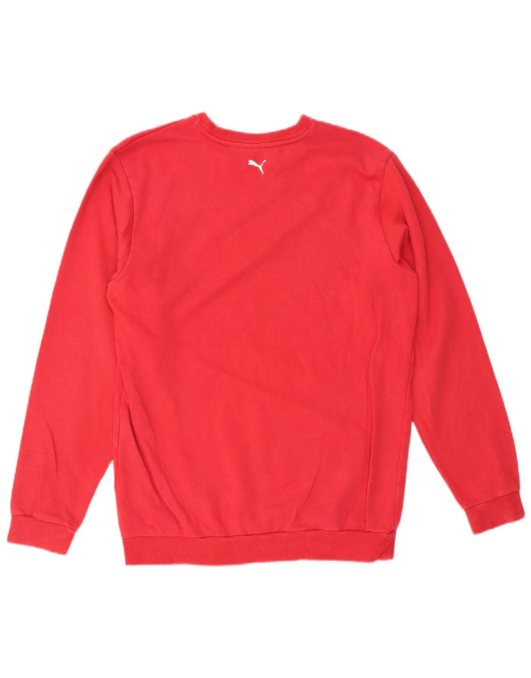 PUMA Drenge Grafisk Sweatshirt Jumper 15-16 år Rød Bomuld