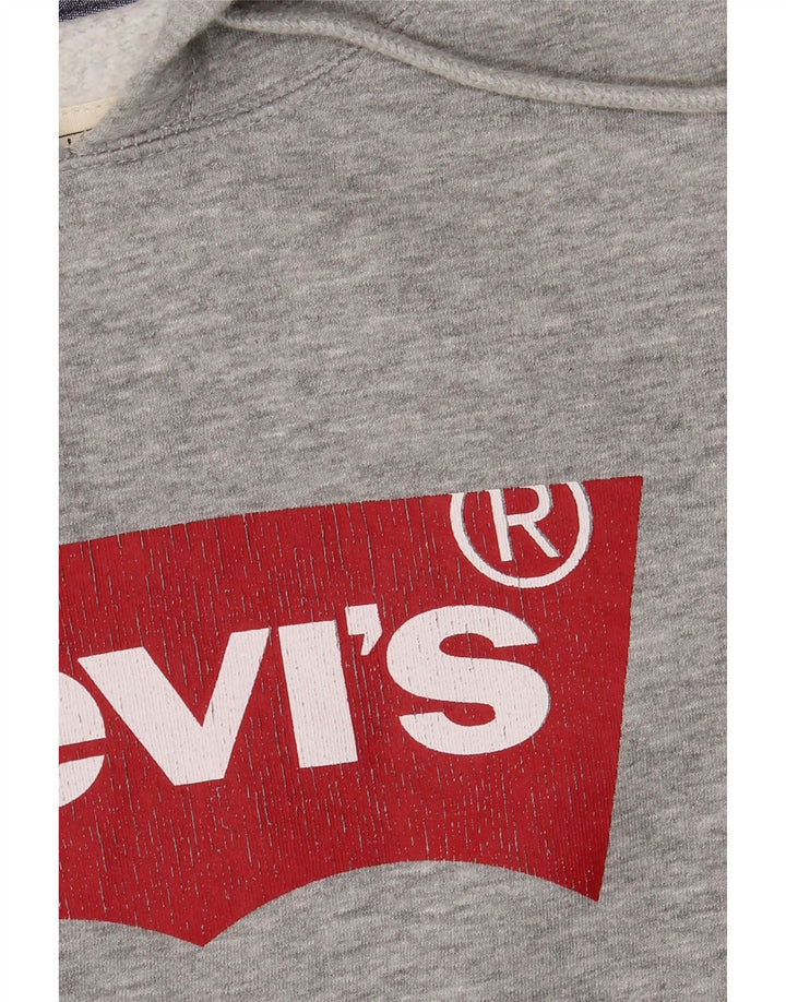 Levi's Grafisk hættetrøje til mænd, stor grå flækket bomuld