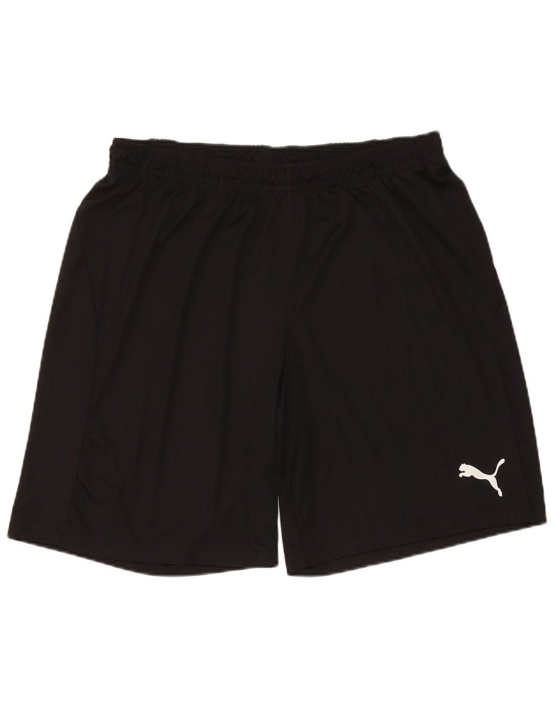 Puma Herre Sportshorts Large Sort