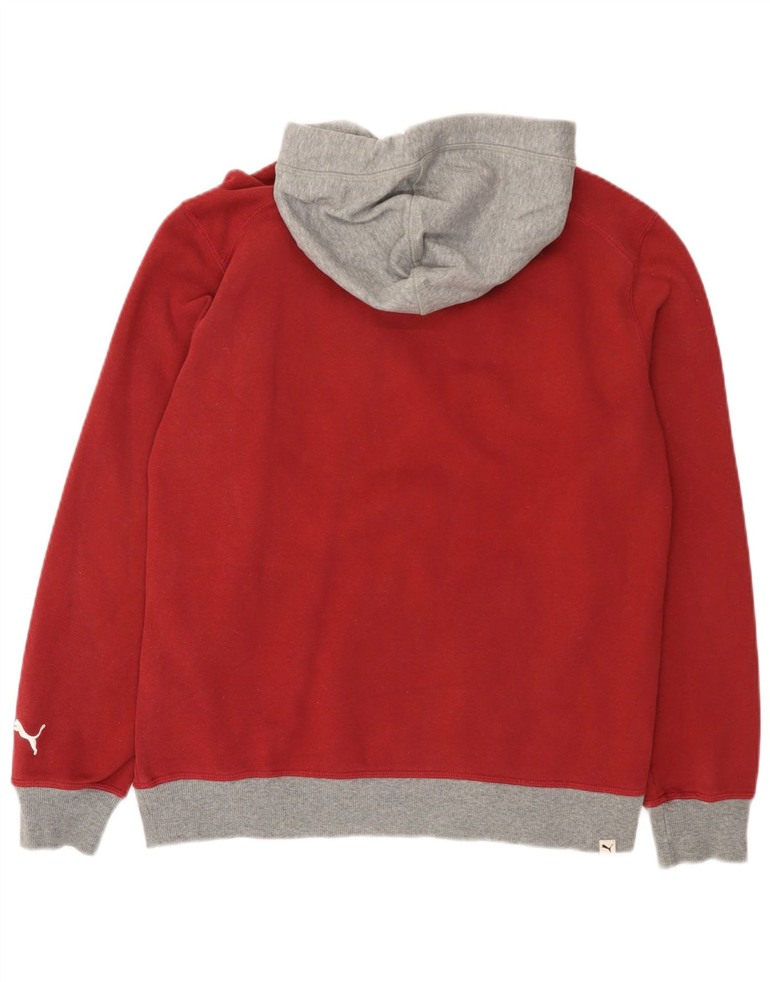 Puma Herre grafisk hættetrøje Jumper Medium Rød Colourblock Bomuld