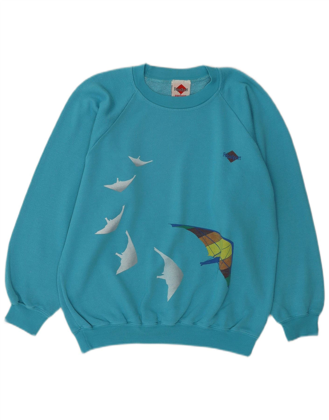 Vintage Dame Grafisk Sweatshirt Jumper UK 14 Medium Blue Bomuld