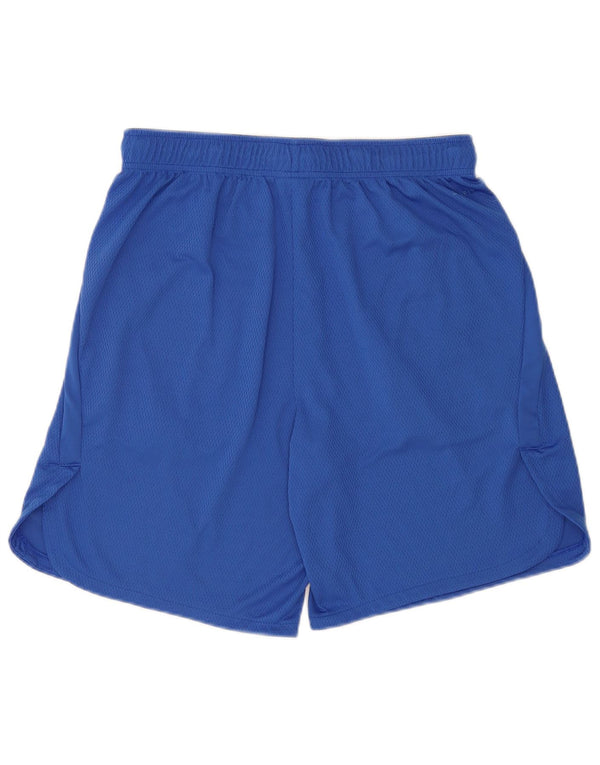 Nike Mens Sport Shorts Large Blue
