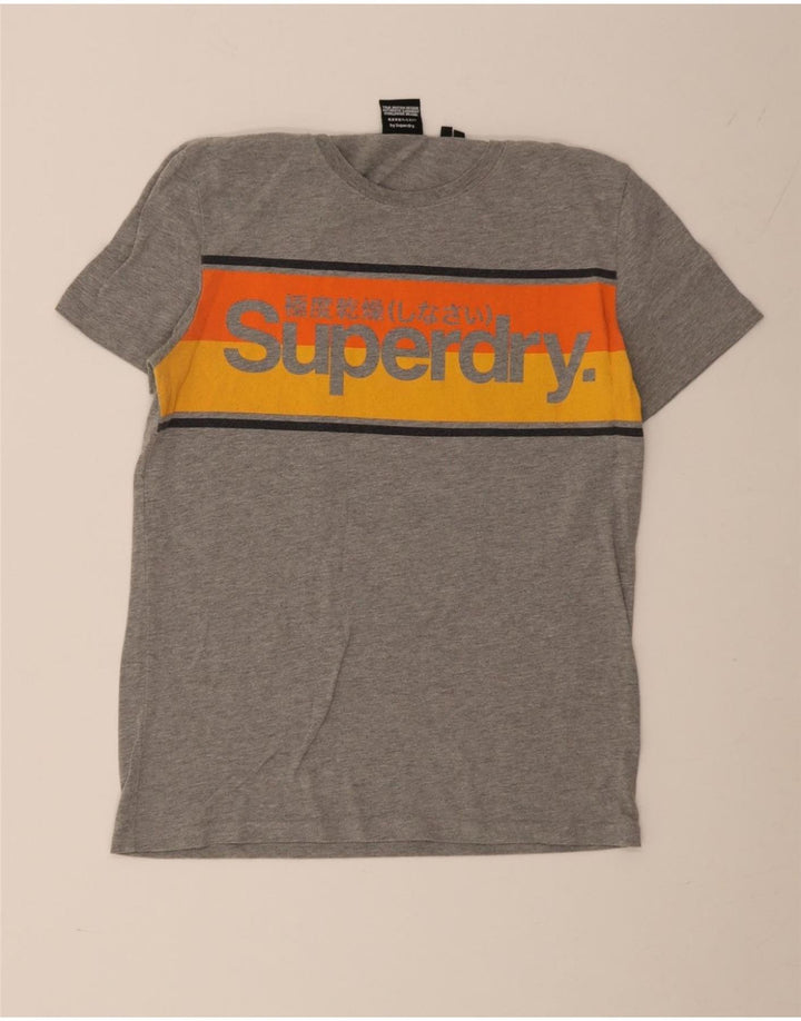 Superdry Grafisk T-shirt til mænd, mellemgrå Colourblock Bomuld