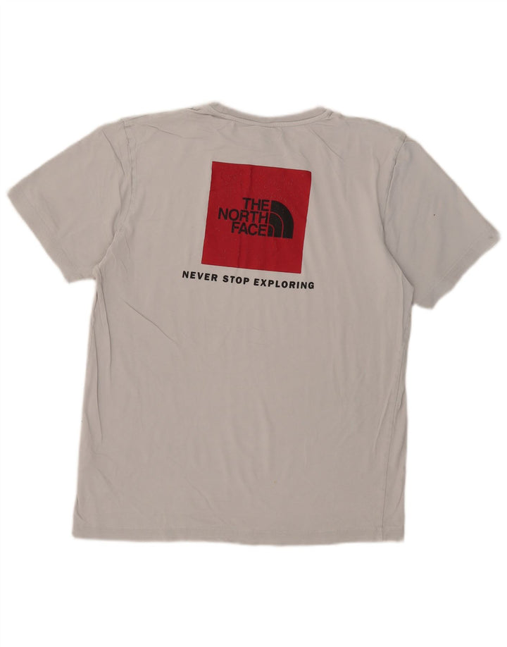 The North Face Herre grafisk T-shirt Top mellemgrå bomuld