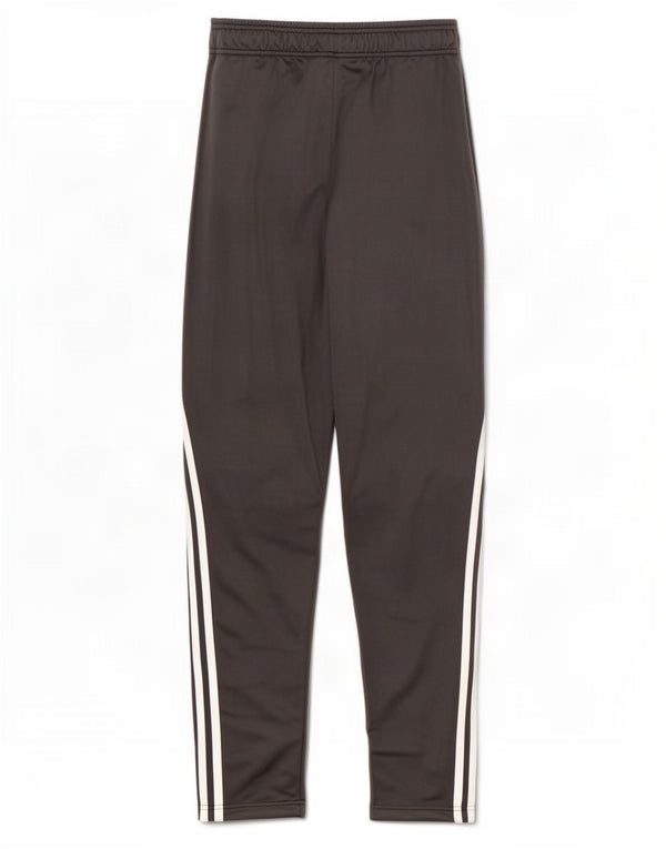 Adidas Boys Primegreen Tracksuit Bukser 13-14 År Grå Polyester