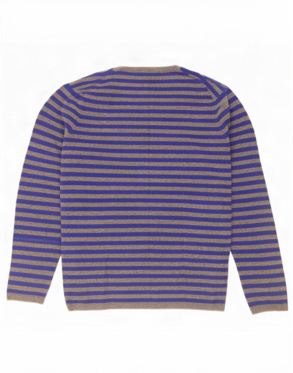 Gap Mens V-Neck Jumper Sweater Large Blue Striped Lambswool
