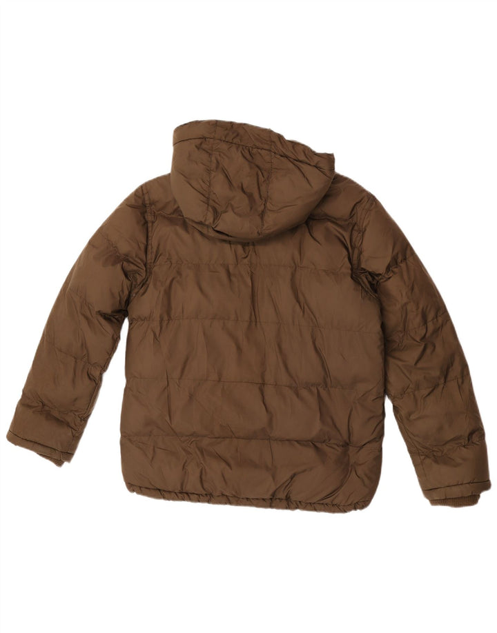 Timberland Boys Grafisk polstret hættejakke 11-12 år brun polyester