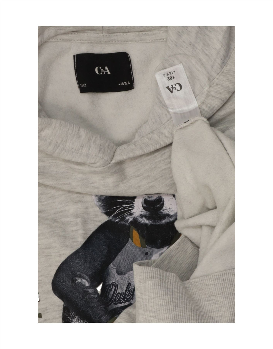 C&A Boys Graphic Hoodie Jumper 13-14 Years Grey Cotton Vintage C&A and Second-Hand C&A from Messina Hembry 