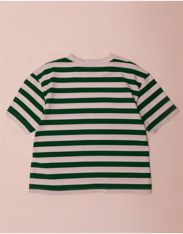 Zara Womens Crop T-Shirt Top UK 10 Lille grøn stribet bomuld