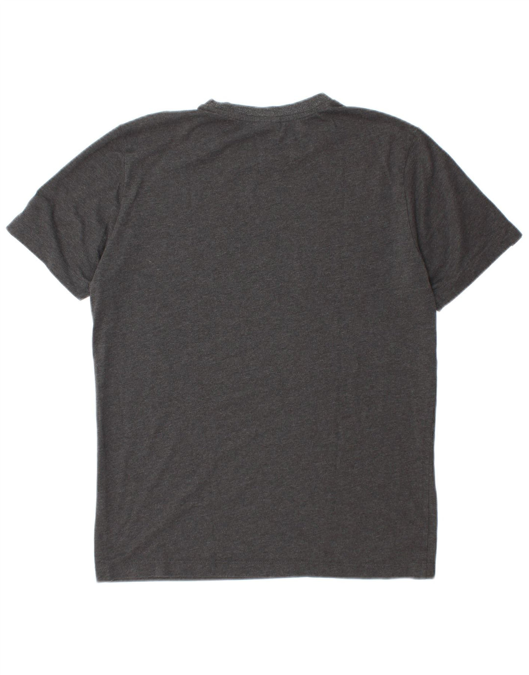 PUMA Grafisk T-shirt til mænd, mellemgrå