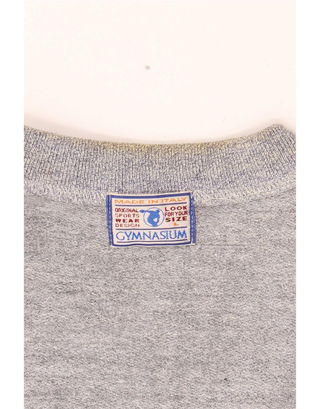 Gymnasium Herre Grafisk Sweatshirt Jumper Large Blue Colourblock