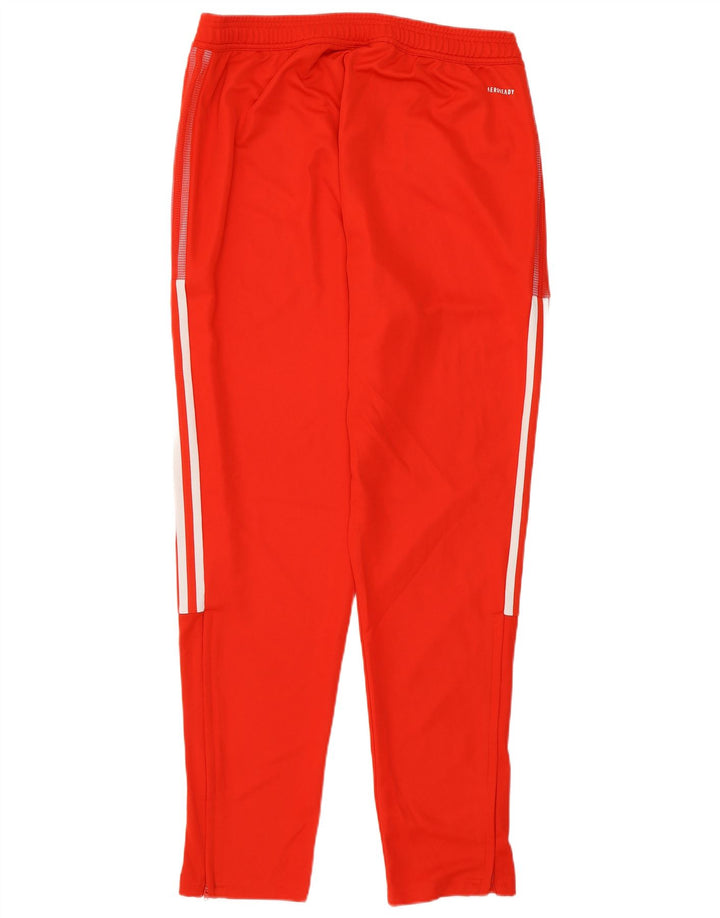 Adidas Træningsdragt bukser til mænd Large Red Polyester Sports