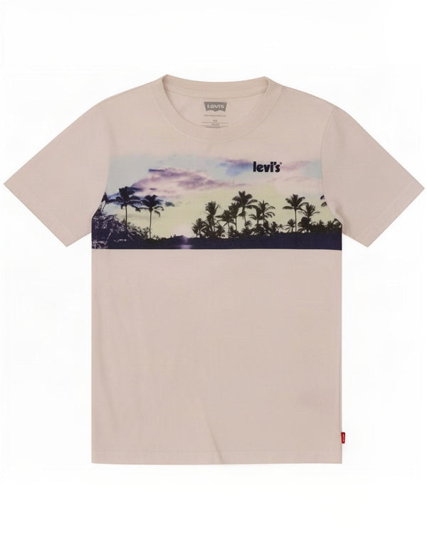 Levi's Boys Graphic T-Shirt Top 11-12 Years White Cotton