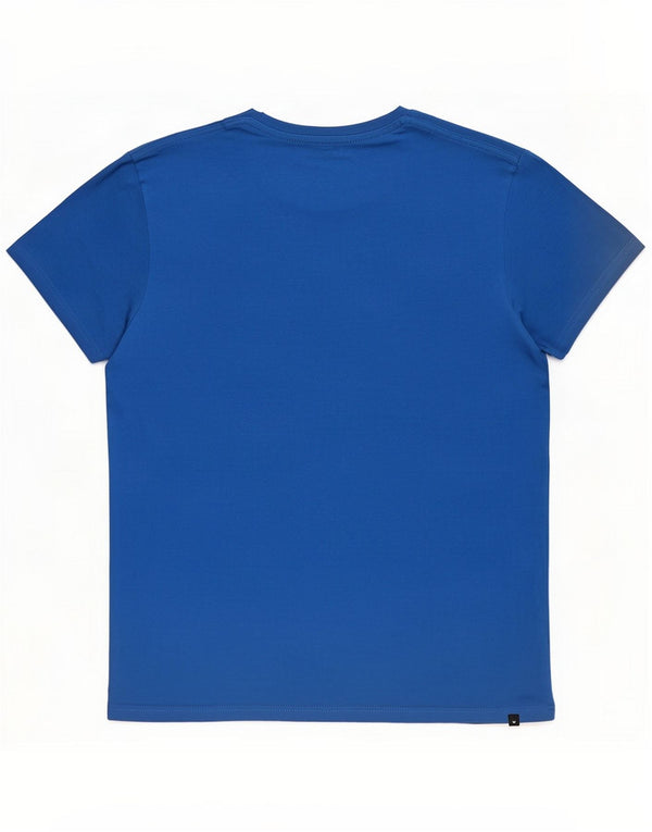 Billabong Herre Slim Fit Grafisk T-shirt Top Small Blue Cotton