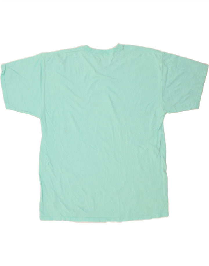 HURLEY Mens T-Shirt Top XL Blue Cotton Vintage Hurley and Second-Hand Hurley from Messina Hembry 