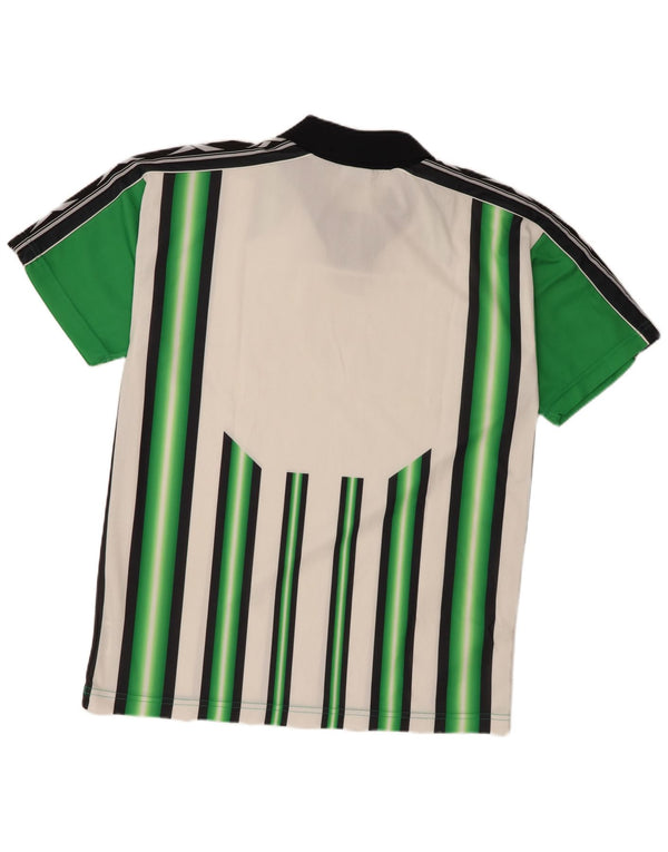 Reebok Herre grafisk poloshirt Stor grøn stribet polyester