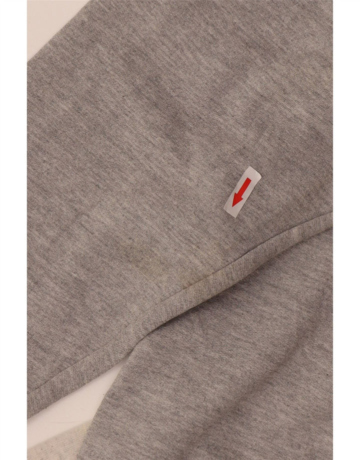 Champion Herre Grafisk Sweatshirt Jumper Large Grå Colourblock Polyester