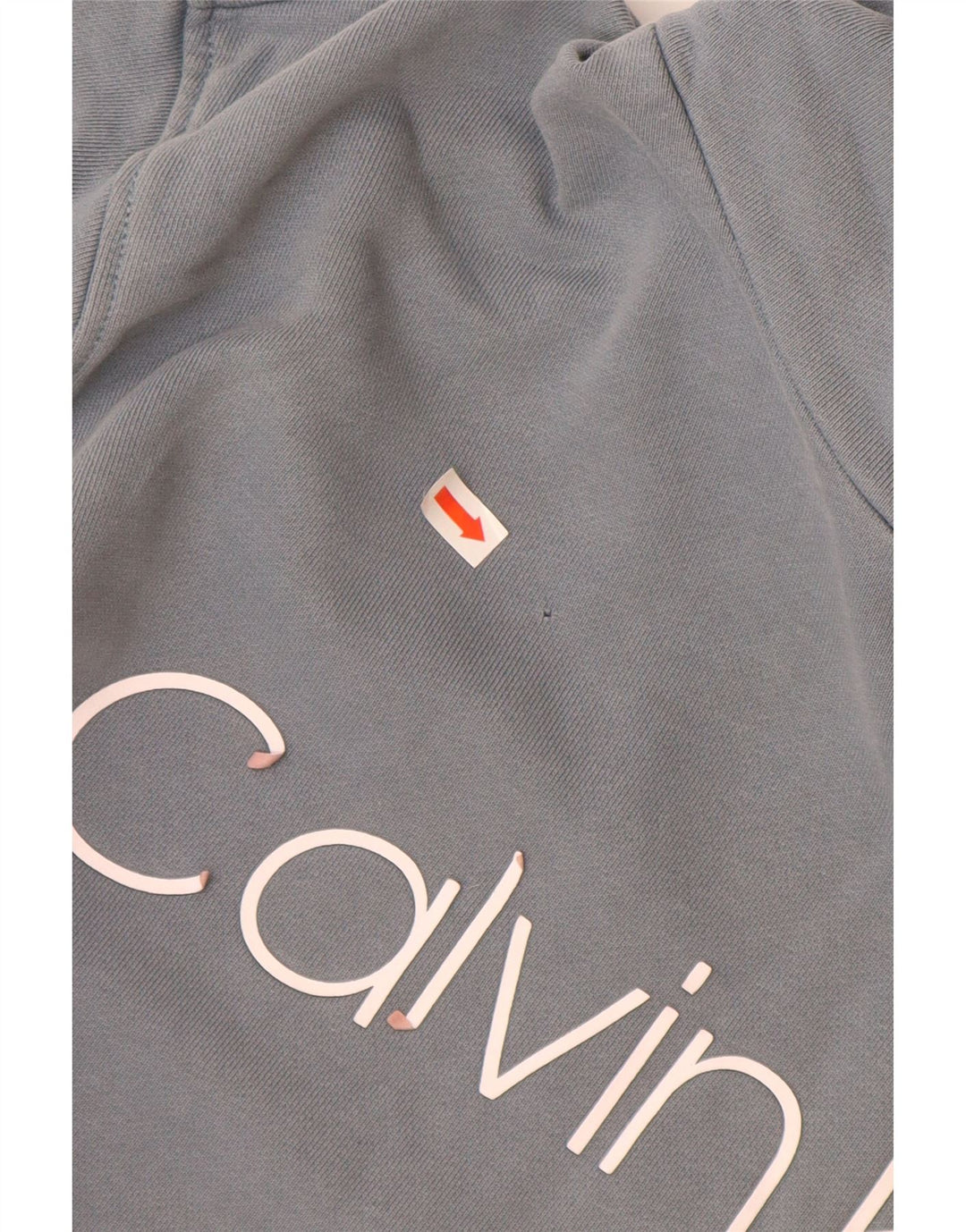 CALVIN KLEIN Grafisk hættetrøje til mænd, lille blå