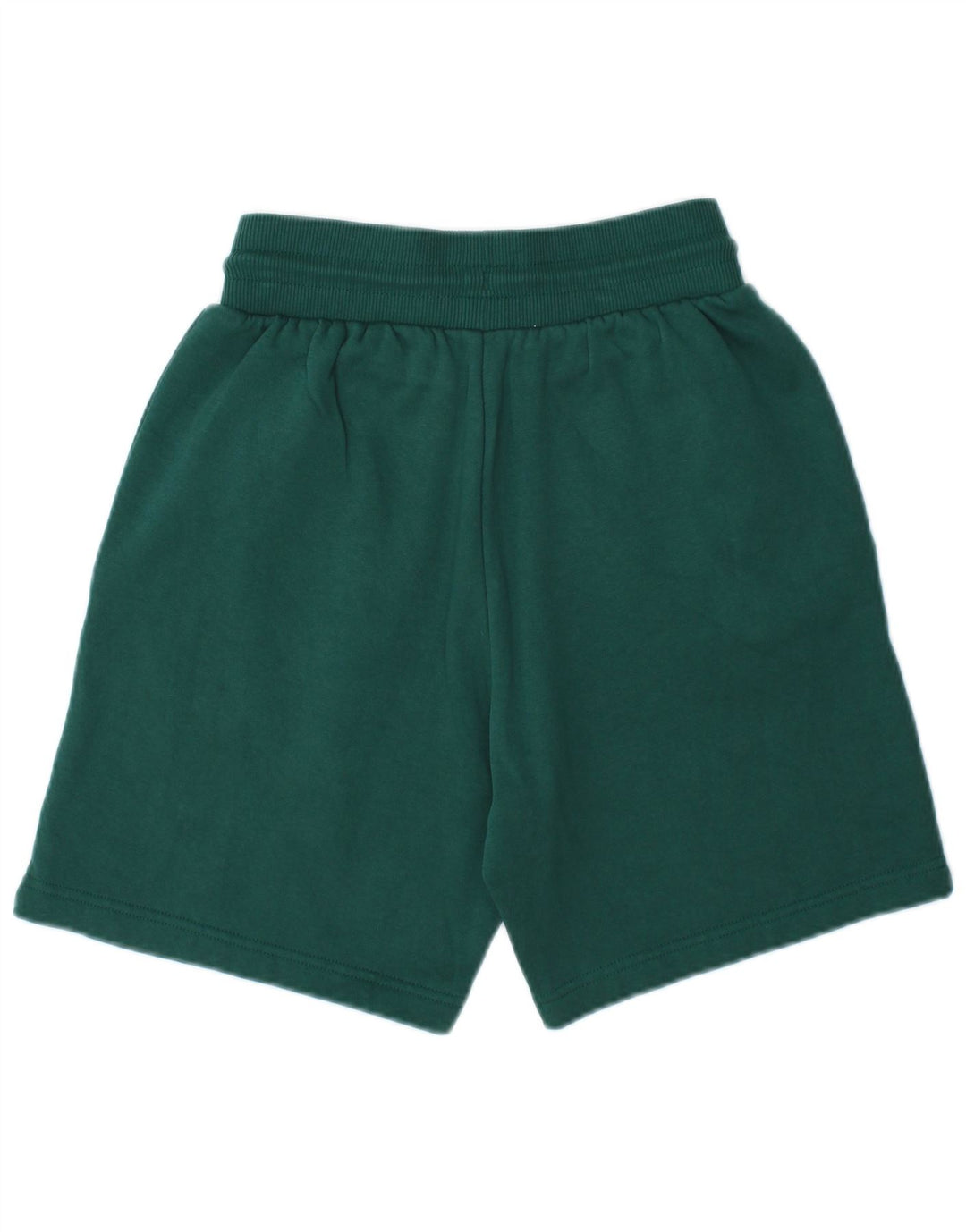 THE NORTH FACE Herre Sportshorts XS Grøn Bomuld
