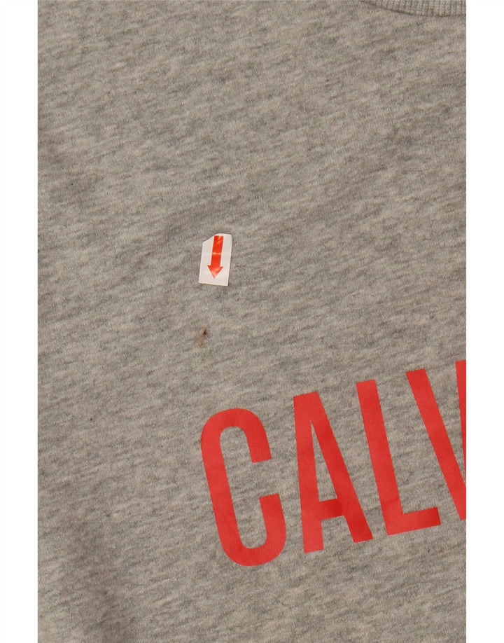 CALVIN KLEIN Herre Grafisk Sweatshirt Jumper Medium Grå
