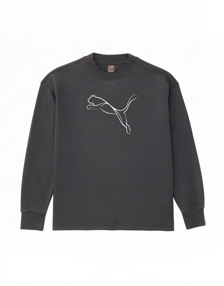 Puma Herre Grafisk Sweatshirt Jumper XS Grå Bomuld