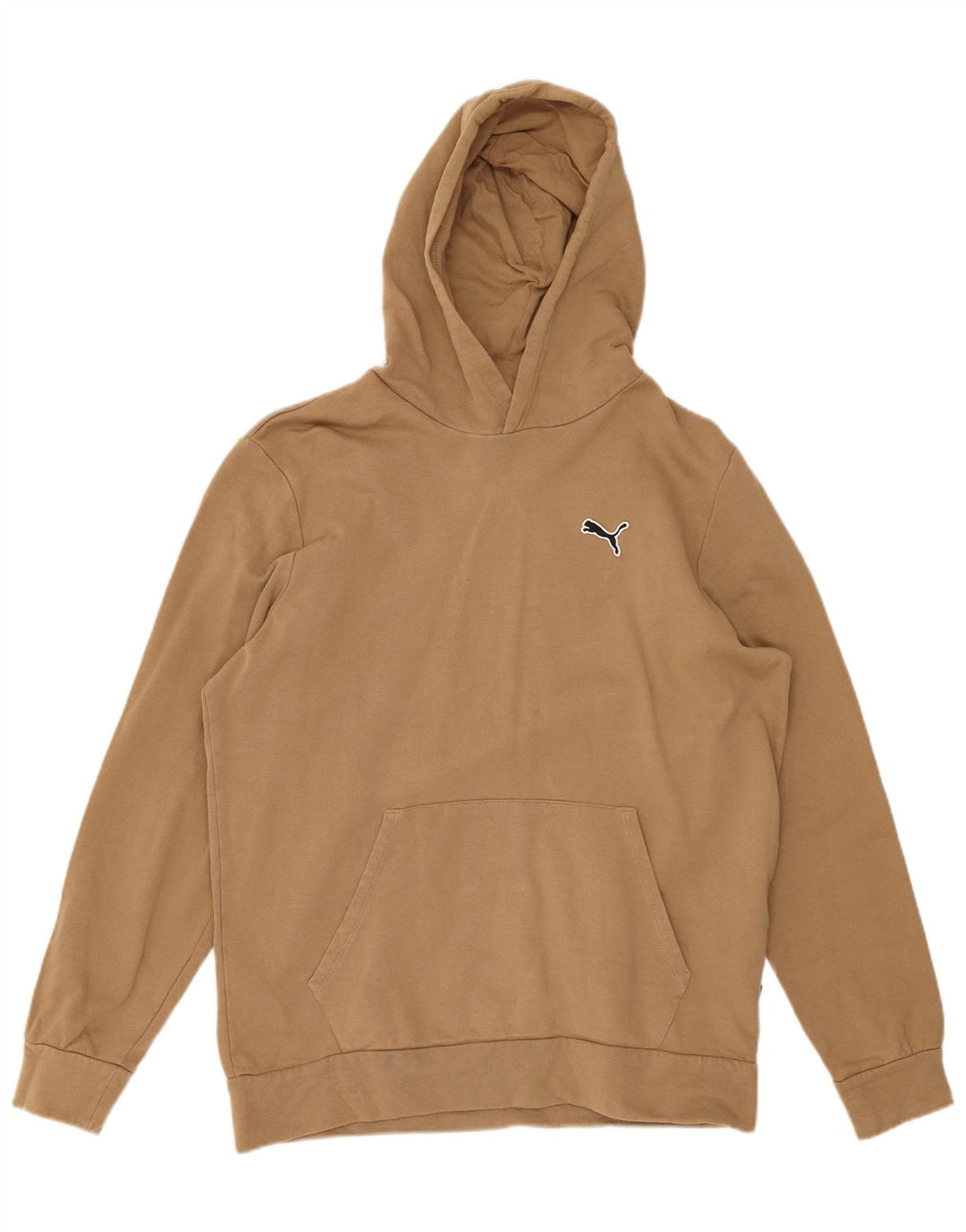 PUMA Hættetrøje til mænd Medium Beige