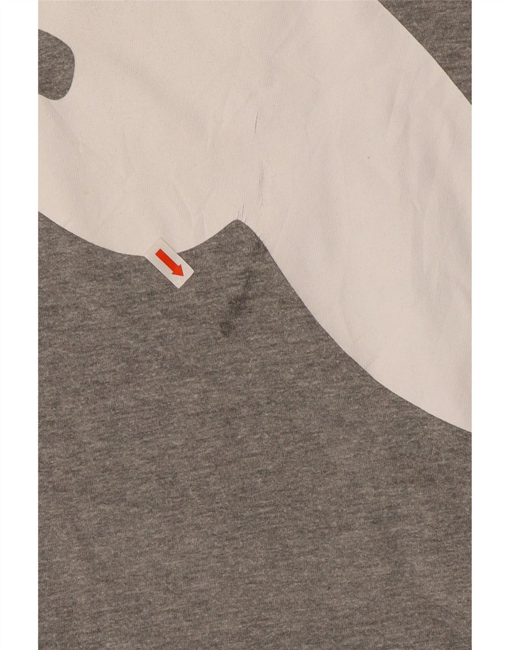 PUMA Herre grafisk T-shirt Top 2XL Grå