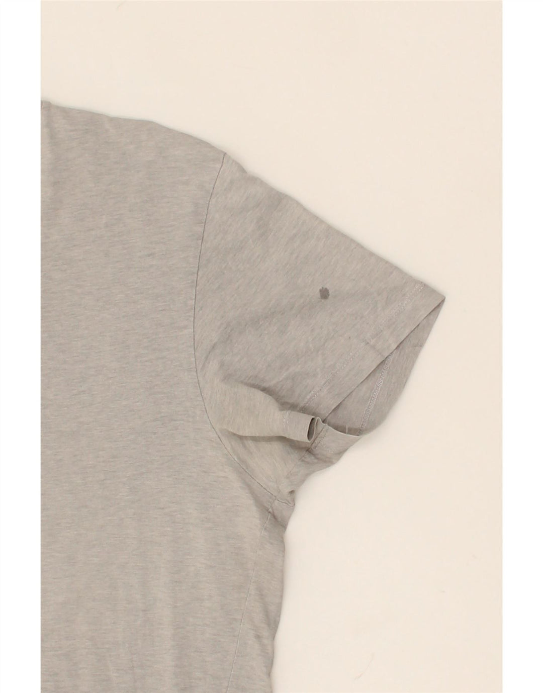 LEE Mens T-Shirt Top 2XL Grey Cotton Vintage Lee and Second-Hand Lee from Messina Hembry 