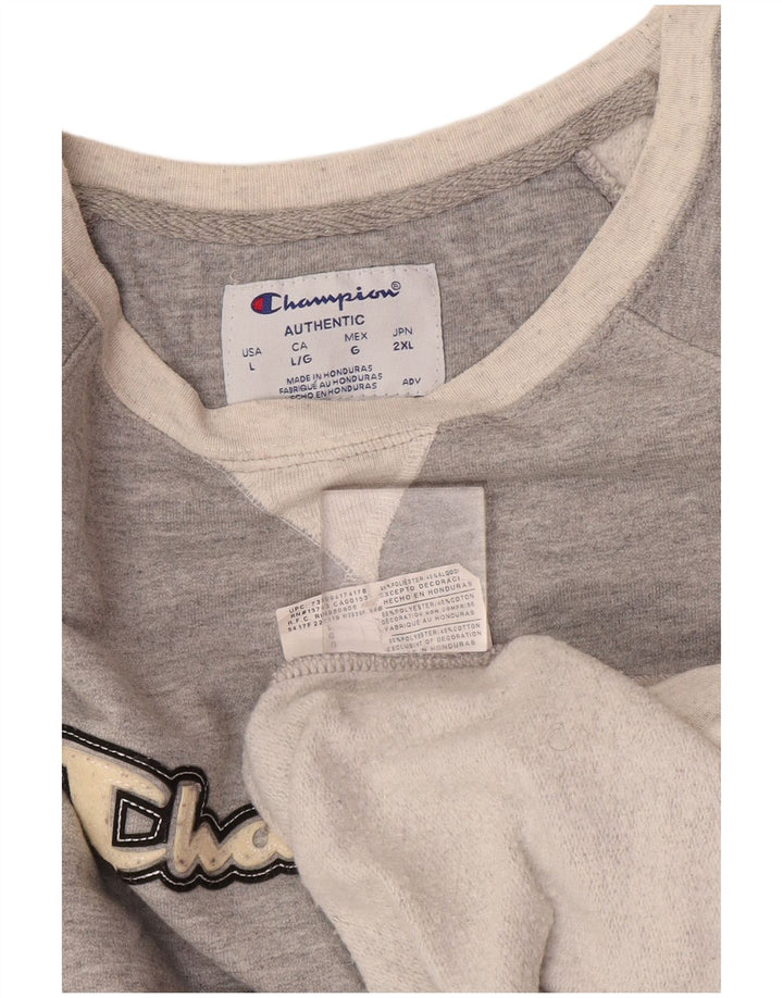 Champion Herre Grafisk Sweatshirt Jumper Large Grå Colourblock Polyester
