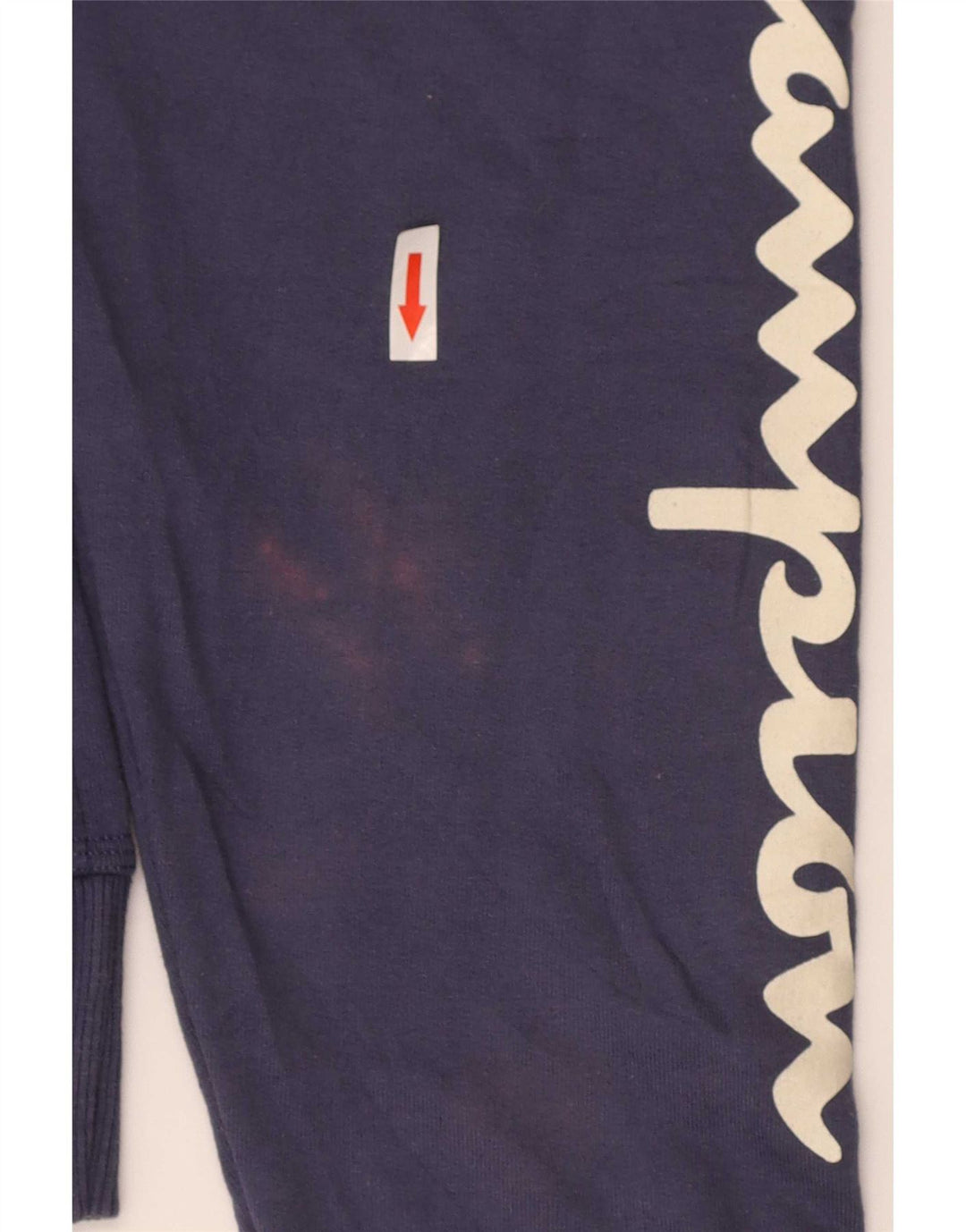 Champion Herre grafisk Regular Fit hættetrøje Jumper Medium Marineblå Bomuld