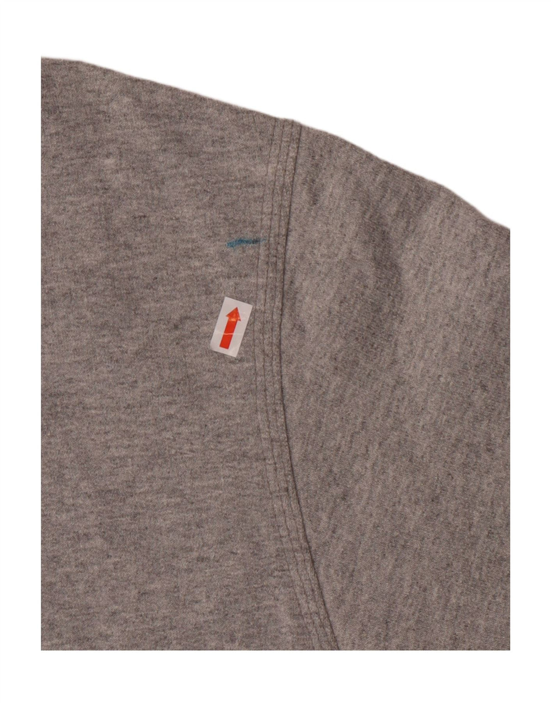 CHAMPION Mens Graphic Hoodie Jumper Large Grey Cotton Vintage Champion and Second-Hand Champion from Messina Hembry 
