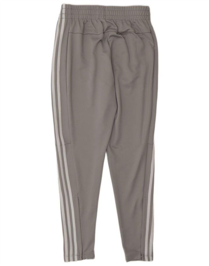 Adidas Træningsdragtsbukser til kvinder UK 8/10 Small Grey Polyester
