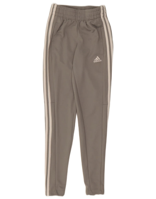 Adidas Træningsdragtsbukser til kvinder UK 0/2 2XS Grå Polyester