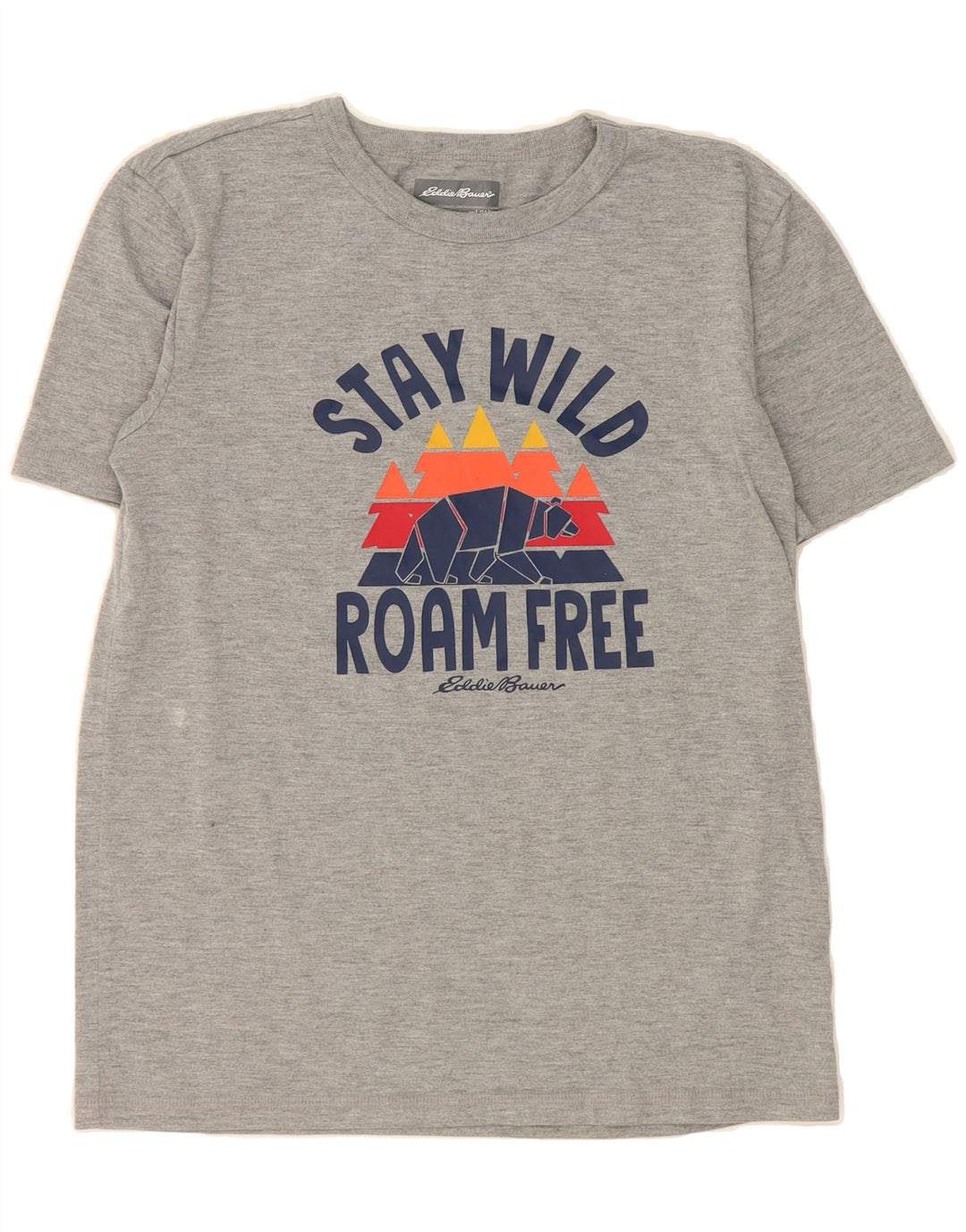 EDDIE BAUER Boys Graphic T-Shirt Top 14-15 Years Large Grey Polyester Vintage Eddie Bauer and Second-Hand Eddie Bauer from Messina Hembry 