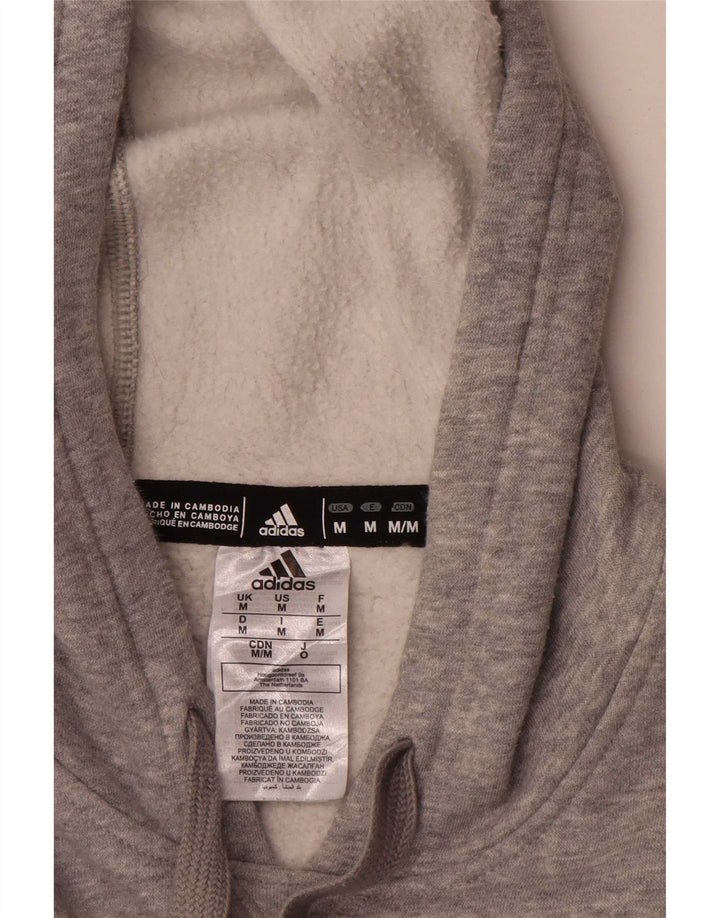 Adidas Herre Spartans Pleasant Valley Graphic Hoodie Jumper Medium Grå