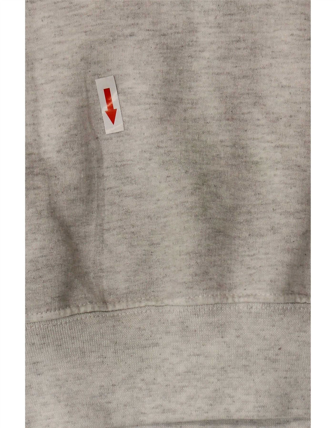 Champion Herre Grafisk Sweatshirt Jumper Medium Grå Bomuld