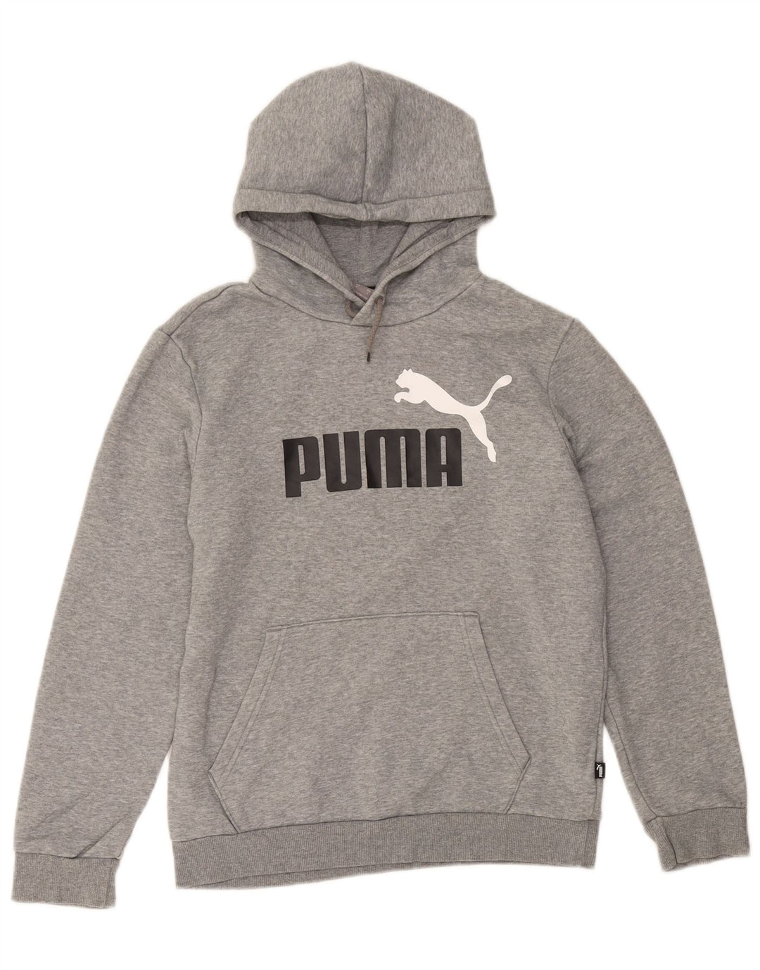Puma Grafisk hættetrøje til mænd, lille grå bomuld