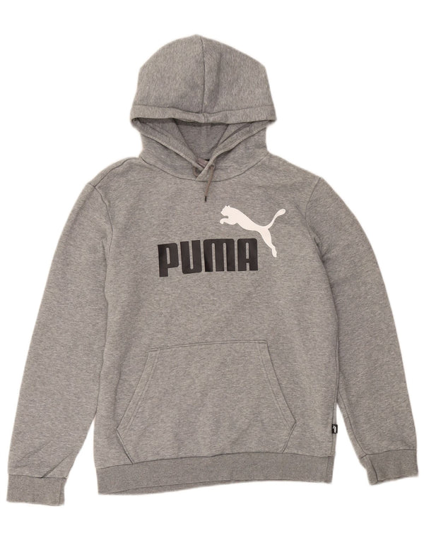 Puma Grafisk hættetrøje til mænd, lille grå bomuld