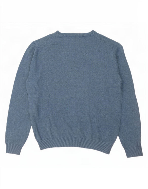 Nautica Mens V-Neck Jumper Sweater Large Blue Cotton