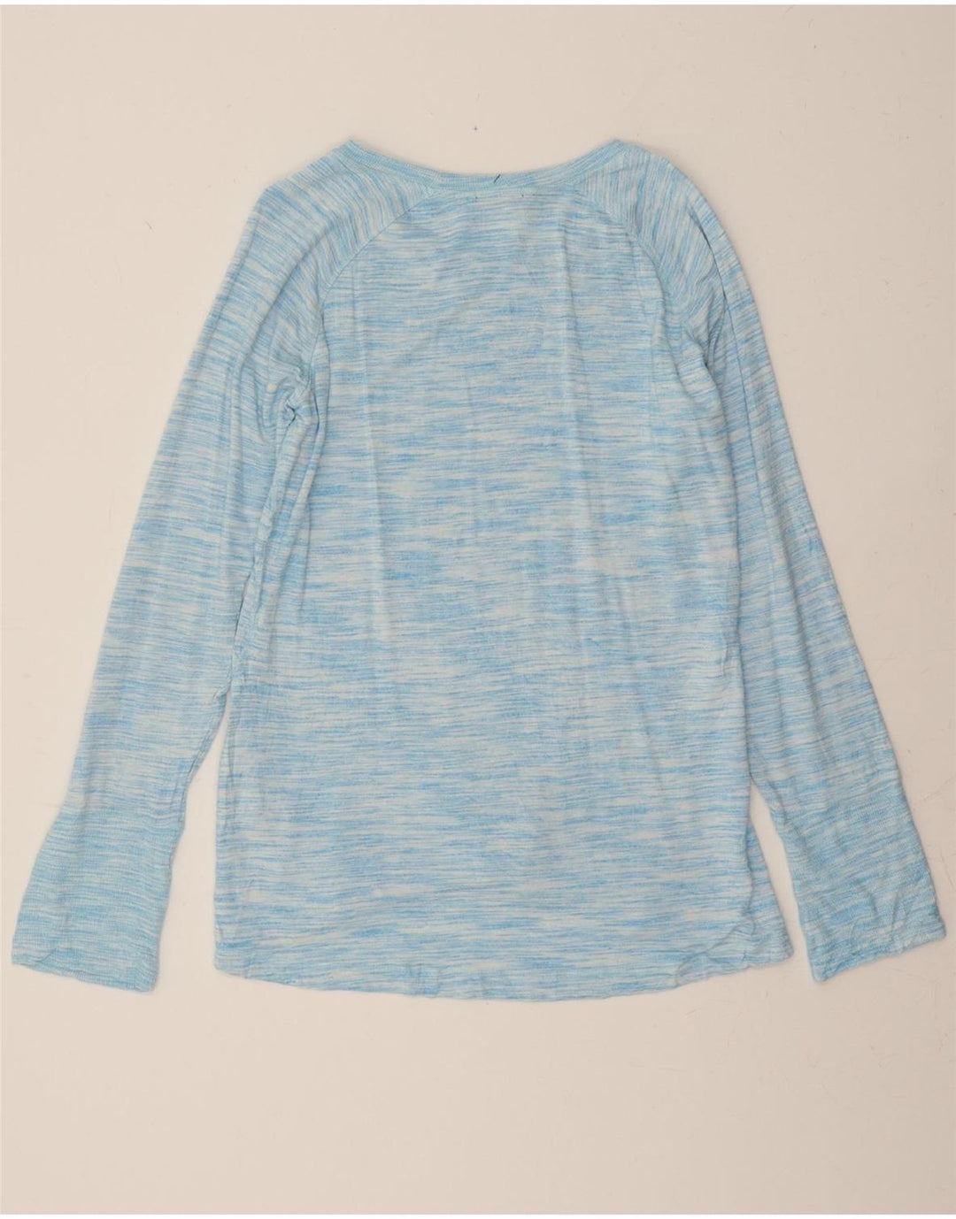 CHAMPION Womens Top Long Sleeve UK 16 Large Blue Flecked Rayon Vintage Champion and Second-Hand Champion from Messina Hembry 