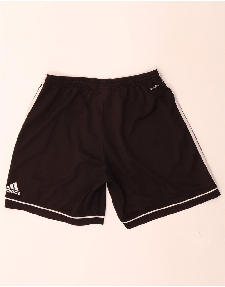 Adidas Herre Climalite Sportshorts Stor sort polyester