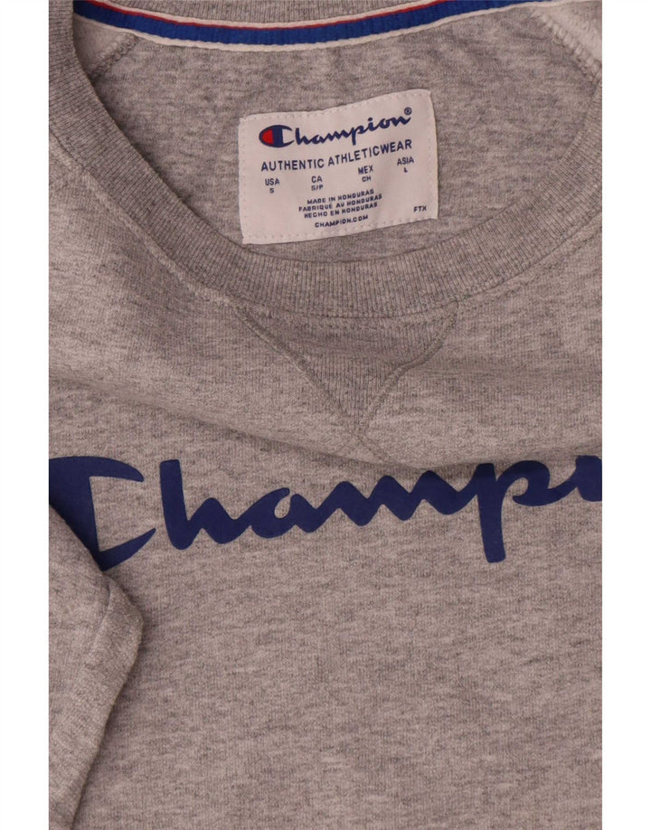 Champion Herre grafisk sweatshirt Jumper lille grå bomuld