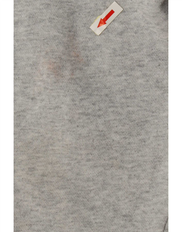 Champion Herre Sweatshirt Jumper Large Grå Bomuld