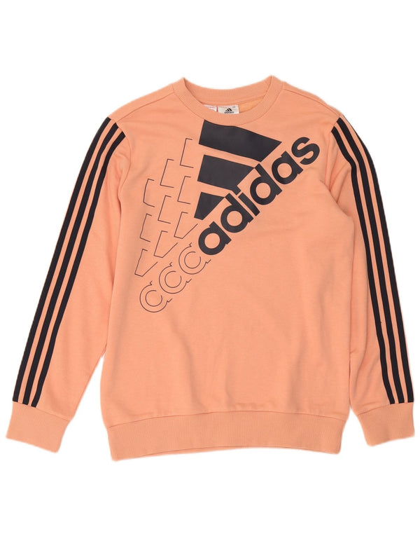 Adidas Boys Grafisk Sweatshirt Jumper 13-14 år Pink Bomuld