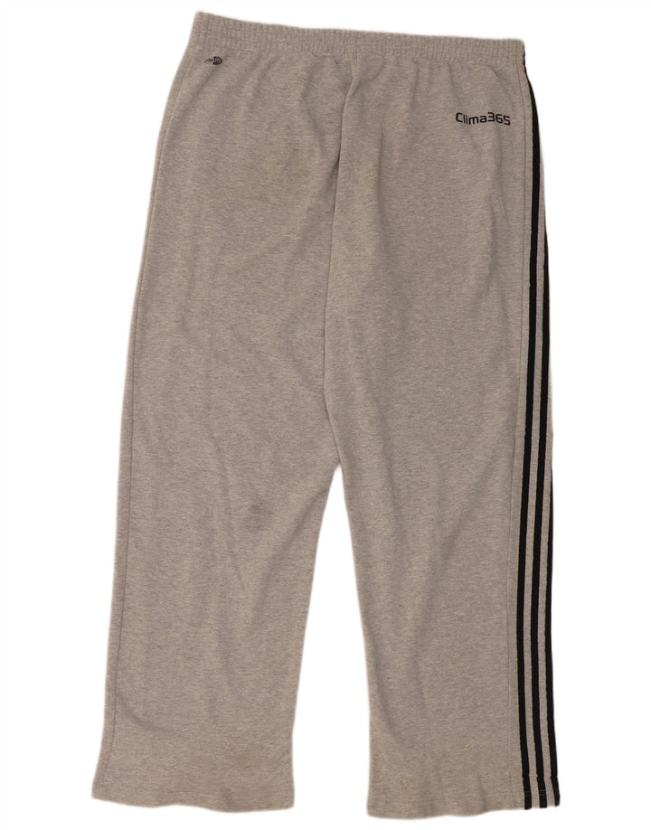 Adidas Træningsdragtsbukser til mænd 2XL Grå Bomuld